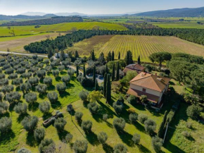 Affitti Brevi Toscana - A due passi dal Mare Magliano In Toscana